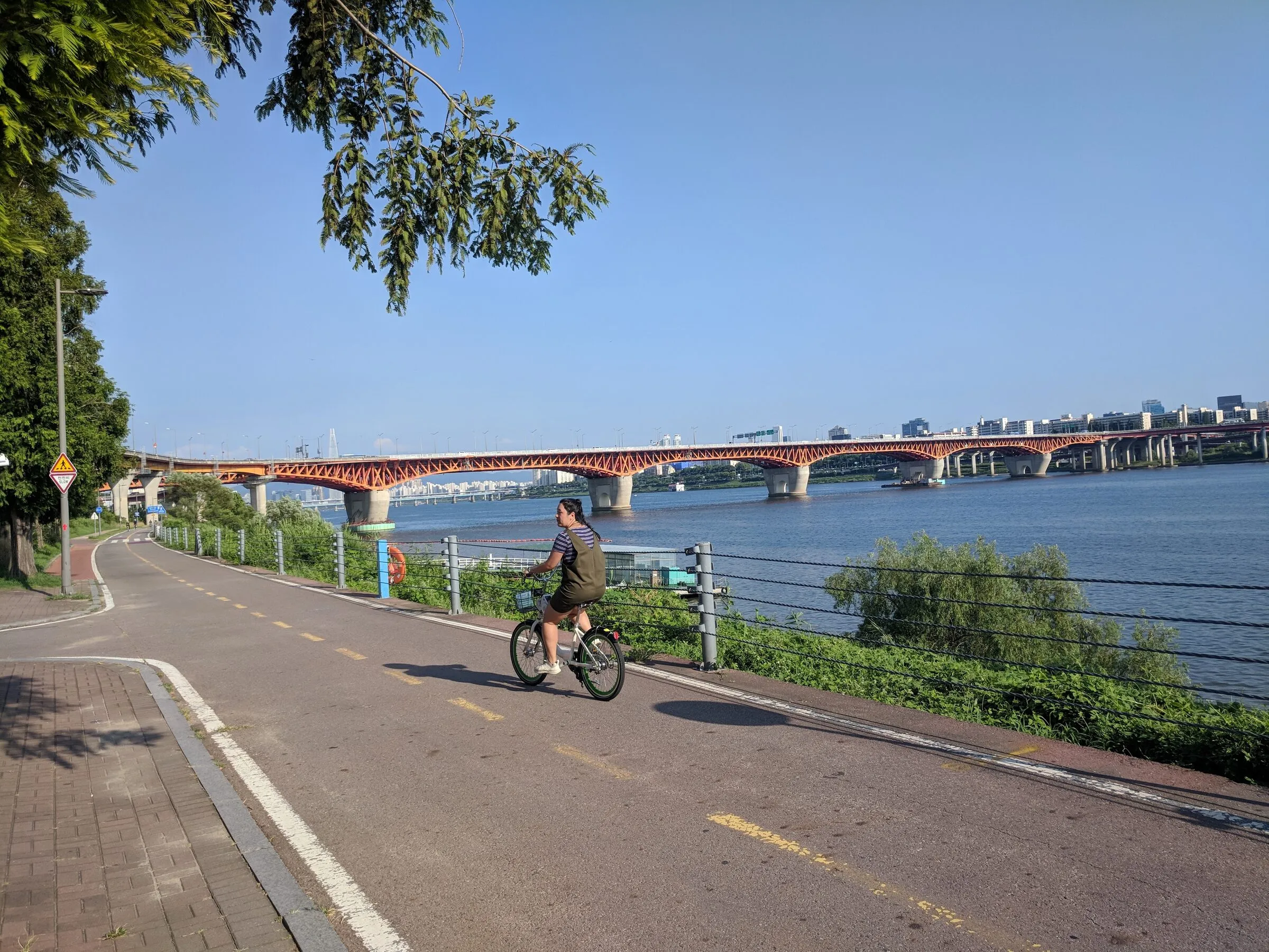 The tree-lined Han River path near Seoul Forest on a green summer day.