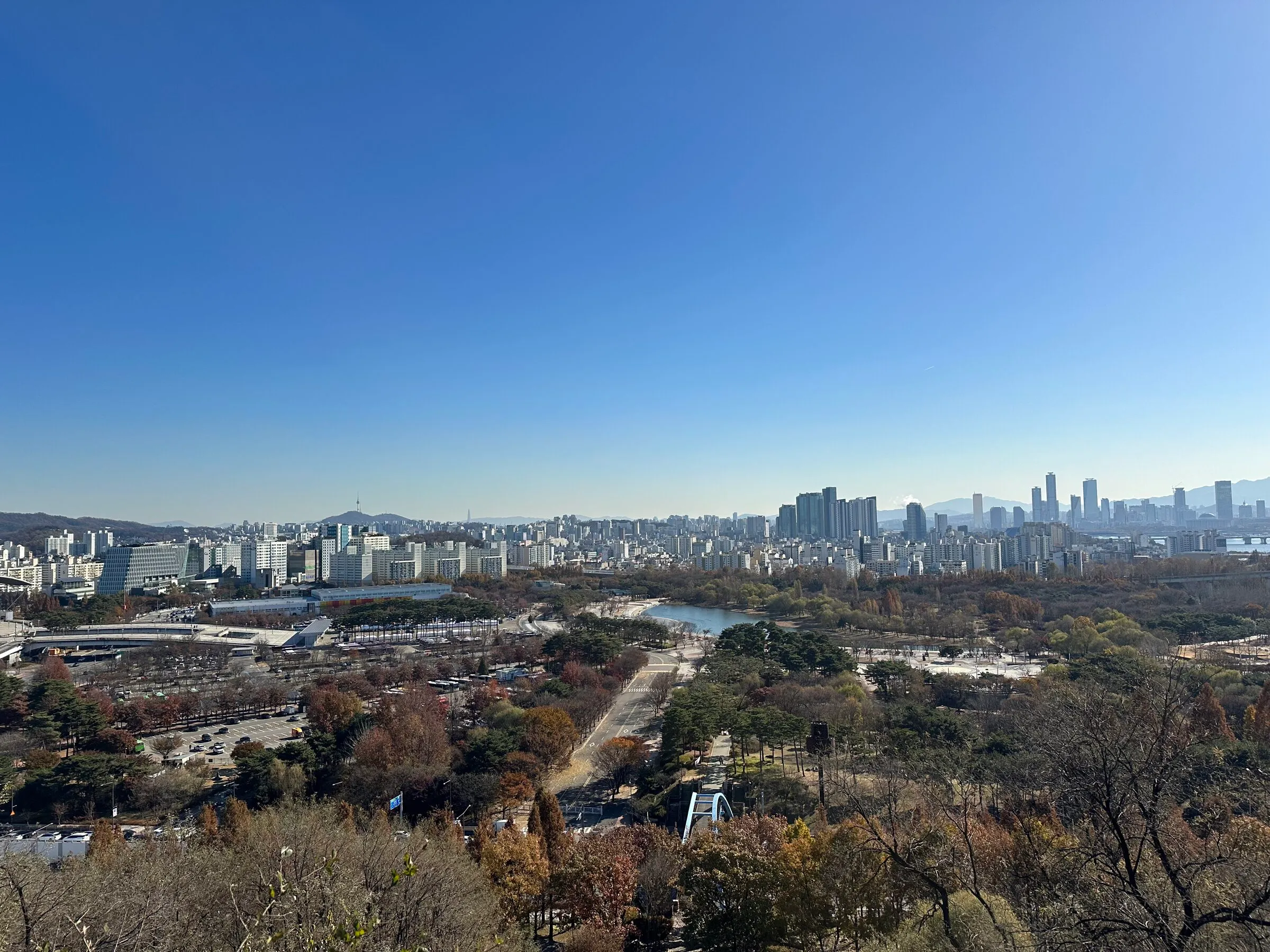 서울 스카이라인 위 하늘공원의 가을 억새.