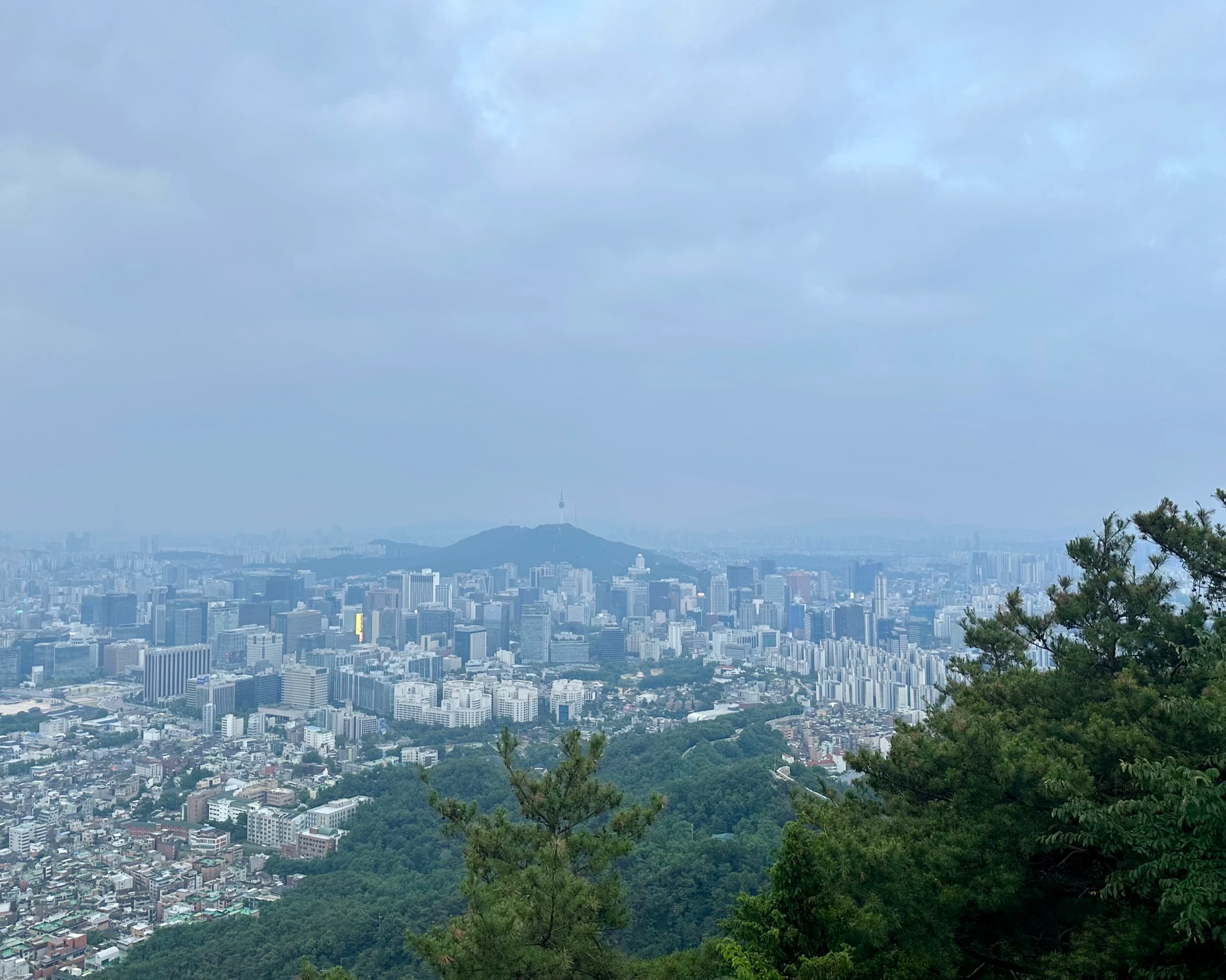 인왕산 높은 곳에서 남쪽으로 바라본 흐릿한 서울 도심. 소나무 가지 사이로, 멀리 언덕 위에 선 N서울타워가 보입니다.