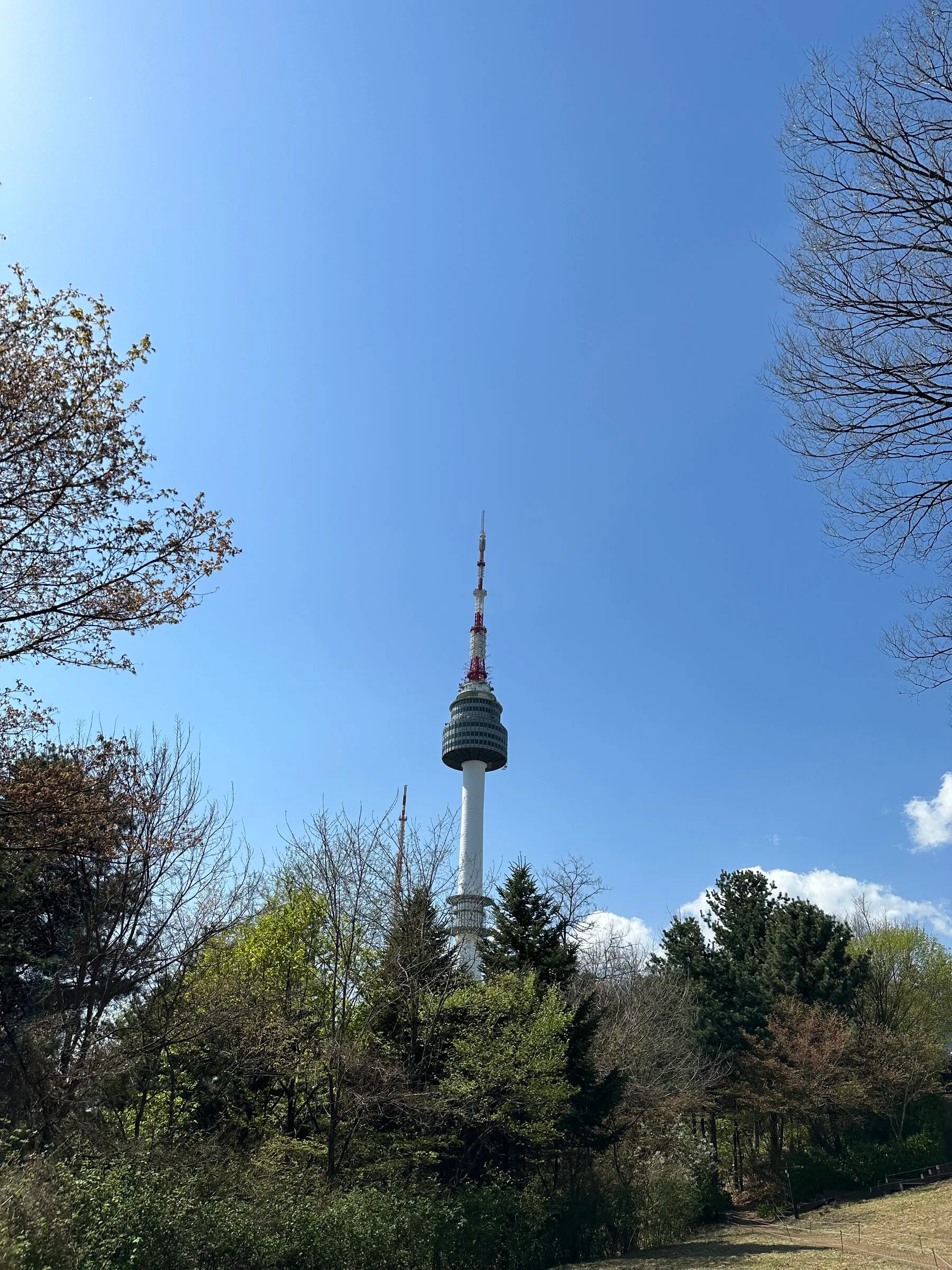 N Seoul Tower above the fresh spring trees of Namsan.