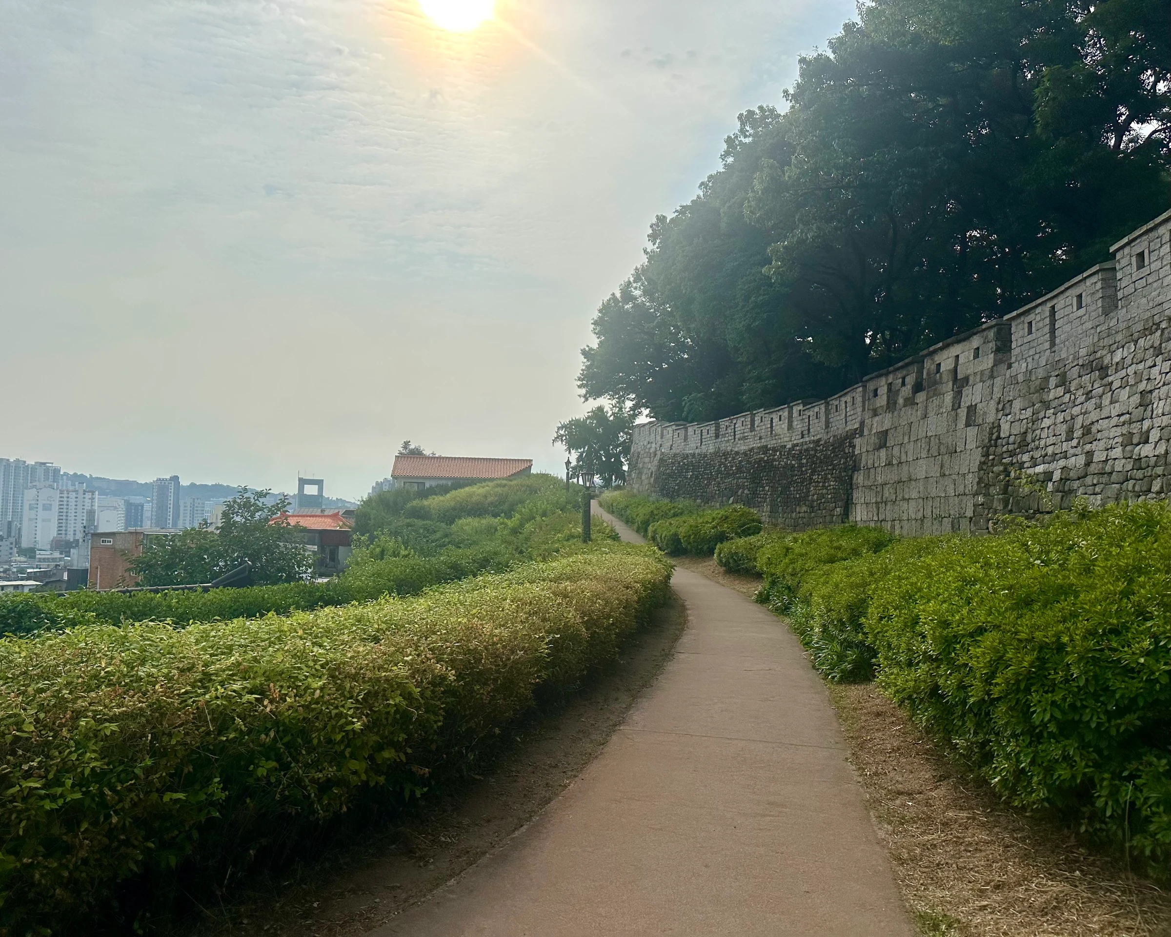 해 뜰 무렵, 한양도성 낙산 구간의 낮은 덤불 사이로 굽어 이어지는 흙길. 오른쪽으로 돌 성곽이 올라갑니다.