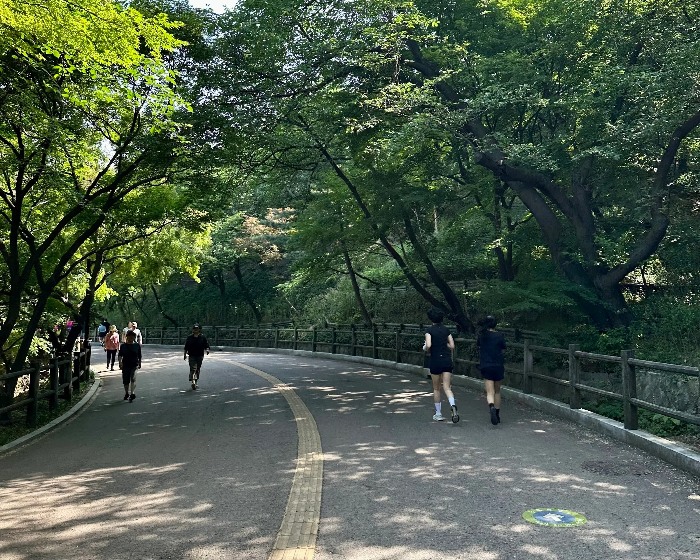 Runners and walkers spread across the wide curving Namsan hill path under a heavy summer canopy.