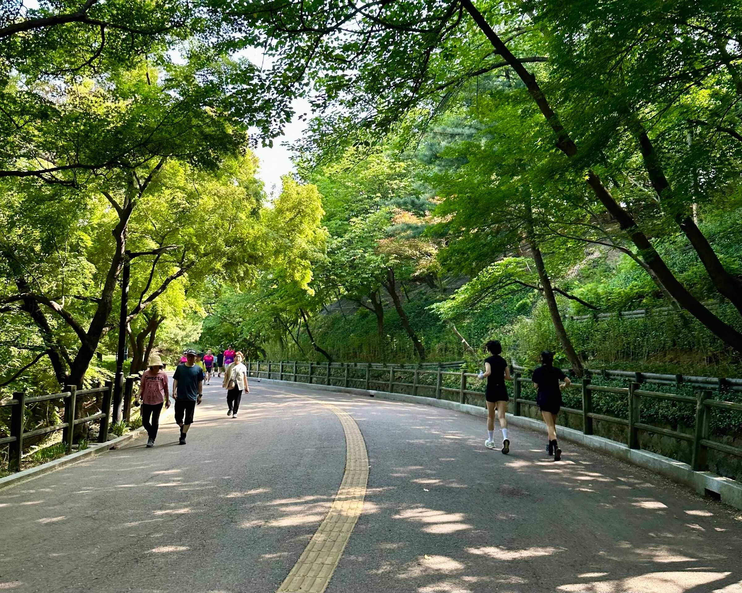 Two runners and a small group of walkers on the wide shaded Namsan hill path on a bright summer morning.