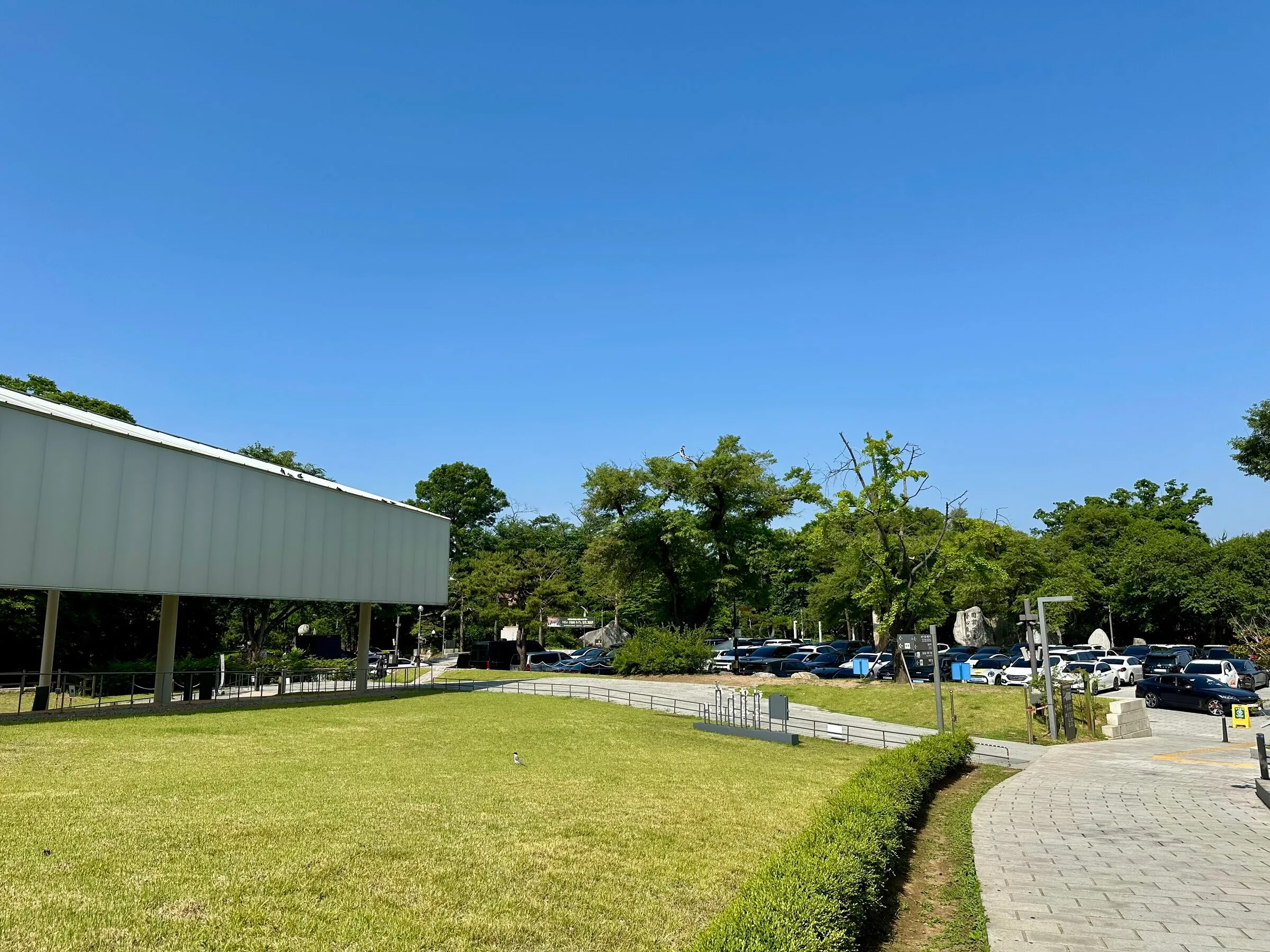 The open grassy meeting point area at Namsan park with a paved walkway and parking ringed by trees.