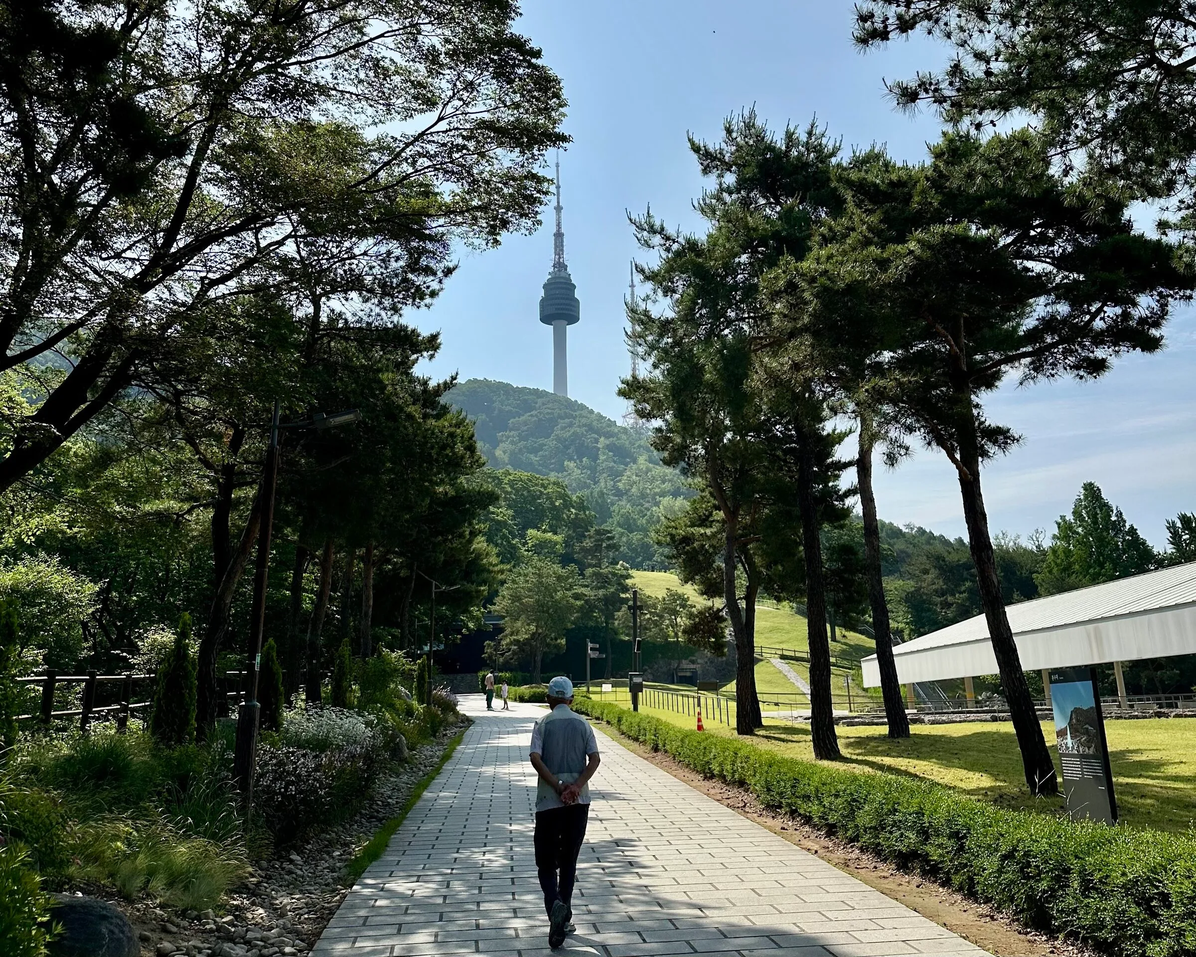 Looking up the paved Namsan park path from the meeting point, a lone walker on the stone pavement with N Seoul Tower framed by Korean pines in the distance.