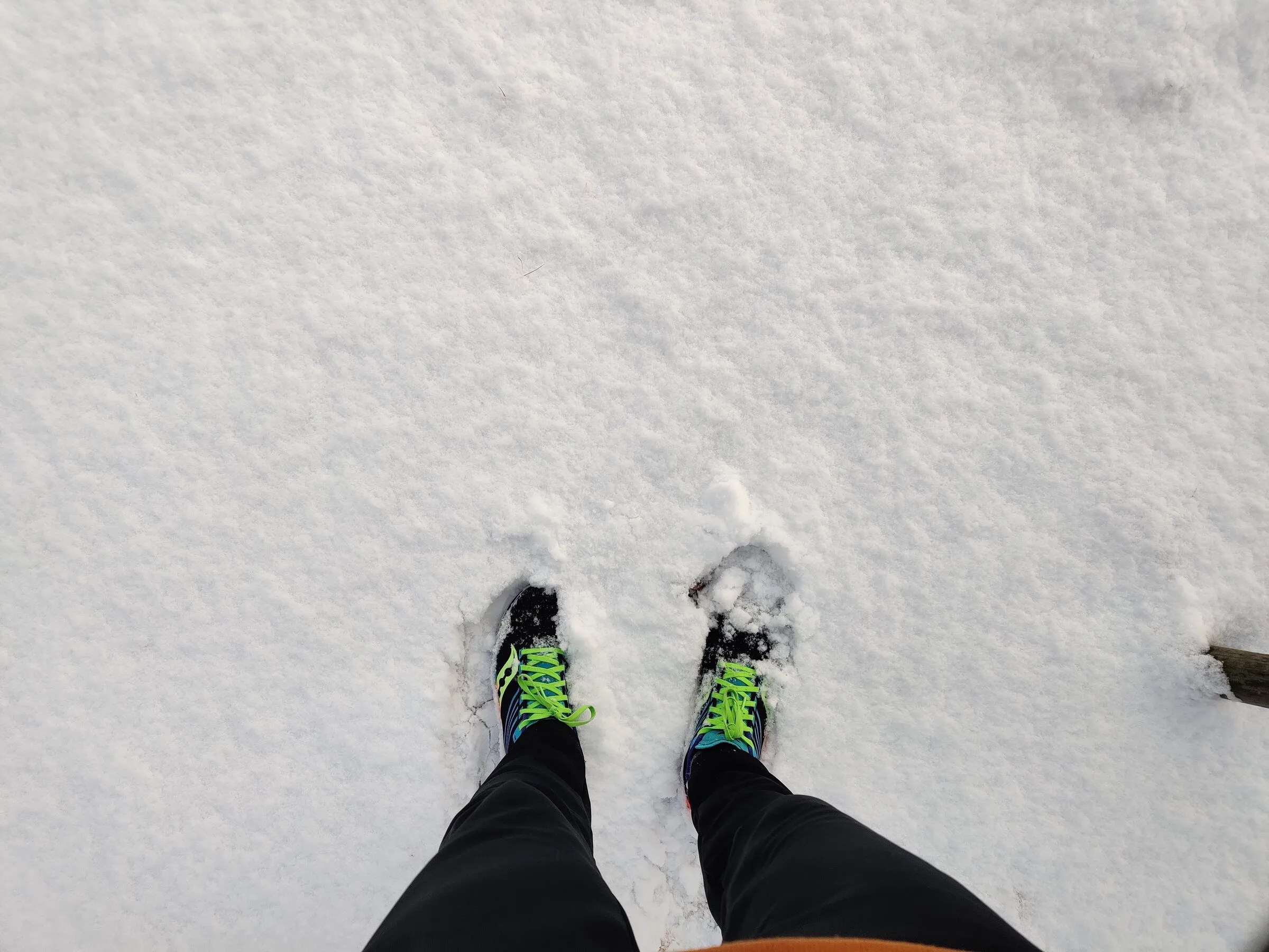 A pair of running shoes printing into fresh snow on a winter morning.